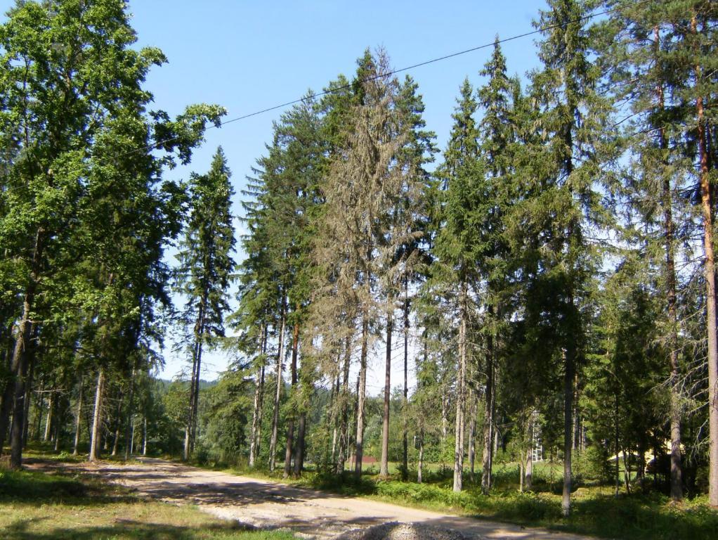 Kempings Ozolkalns Cēsis Extérieur photo