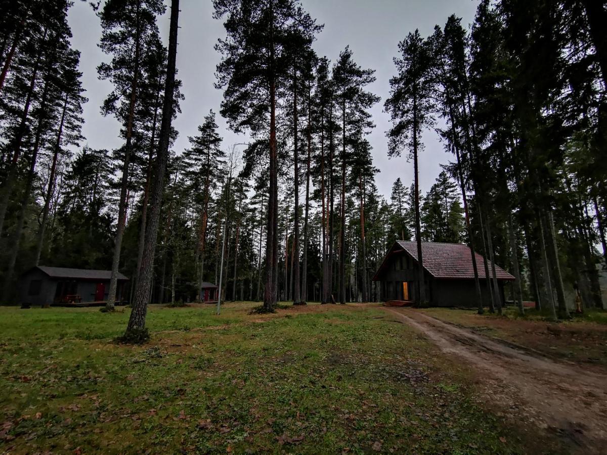 Kempings Ozolkalns Cēsis Extérieur photo